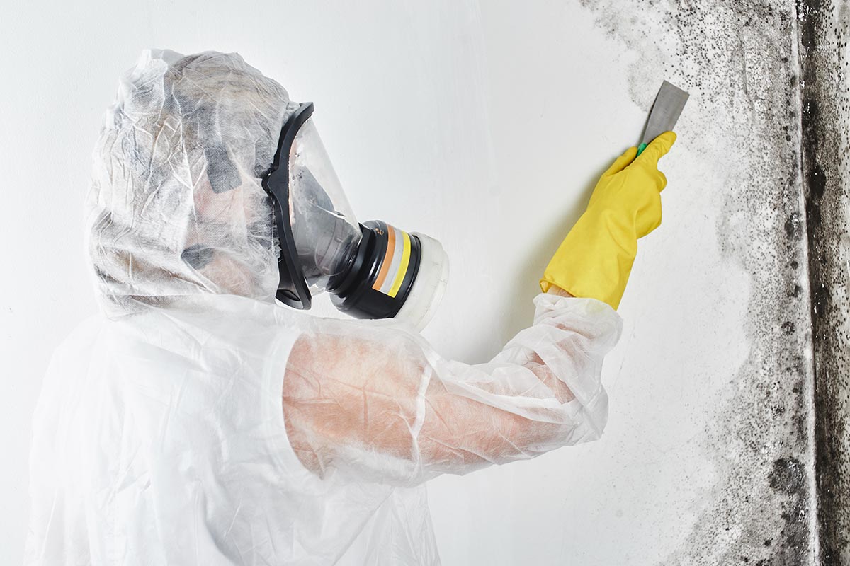 mould prevention Sydney