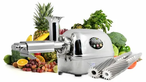 Angel Juicer 8500