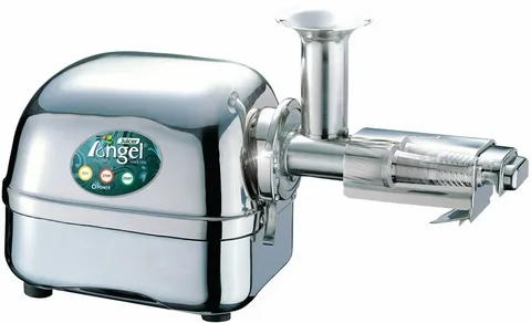 Angel Juicer 5500