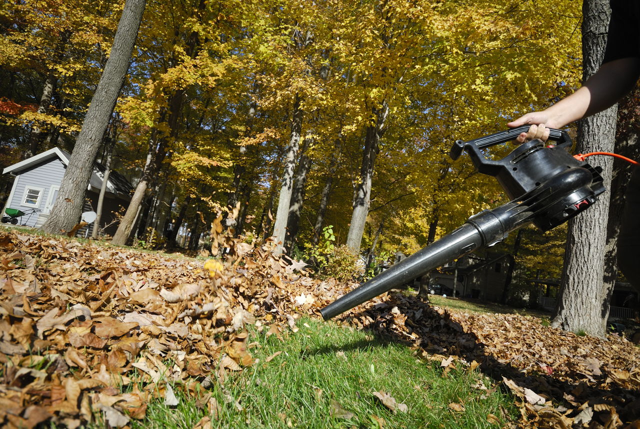 Honda leaf blowers Brisbane