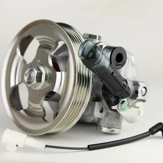 VE Power Steering Pump