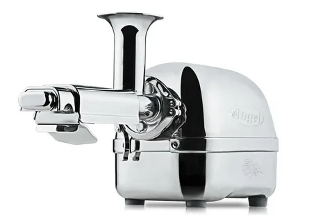 Angel Juicer 5500